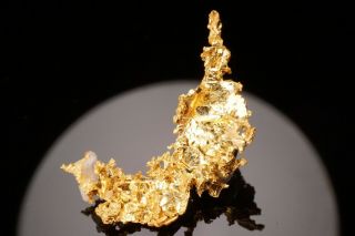 RARE LOCALE Native Gold Crystal with Quartz ANGELS CAMP,  CALIFORNIA - Ex.  Crespi 6