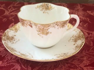 Very Rare Shelley Cup And Saucer Dainty Gold On White