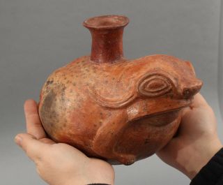 Large Rare Pre - Columbian Peru Inca Figural Toad Frog Effigy Vessel Pot