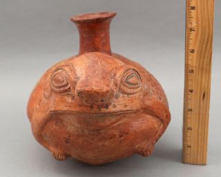 Large Rare Pre - Columbian Peru Inca Figural Toad Frog Effigy Vessel Pot 2