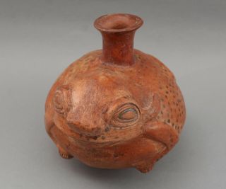 Large Rare Pre - Columbian Peru Inca Figural Toad Frog Effigy Vessel Pot 3
