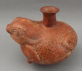 Large Rare Pre - Columbian Peru Inca Figural Toad Frog Effigy Vessel Pot 5