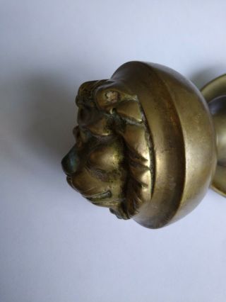 Antique Solid Brass Lion 