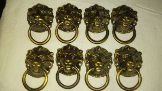 8 Vintage Brass Lion Drawer Door Pulls Handles 3 - 1/2 X 2 - 1/4 X 1 Oem