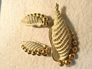 Sarah Coventry Goldtone Vintage Costume Brooch/earrings Set Sea Shells V.  Rare