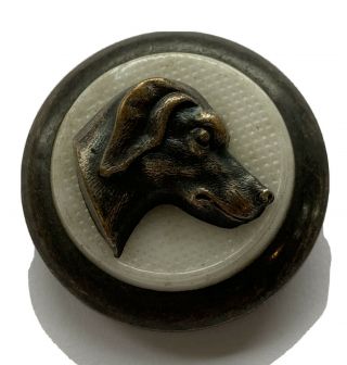 Antique Vintage Large Metal Picture Button Dog Head With Glass & Thread Back