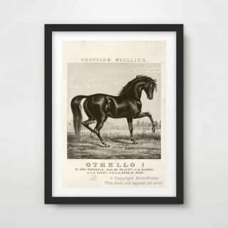 Black Stallion Horse Equestrian Art Print Poster Antique Decor Wall Artwork