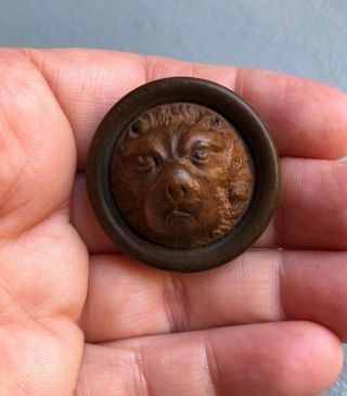 Antique Victorian 3d Wood Carved Dog Bear Lion Animal Face Head Button 1 1/4 "