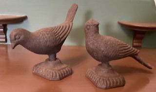 Antique Vintage Pair Cast Iron Doves - 7 " Long X 4 3/4 " Tall On 3 " X 2 1/2 " Base