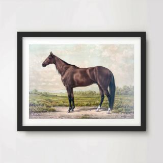 Antique Horse Painting Equestrian Art Print Poster Design Decor Wall Picture