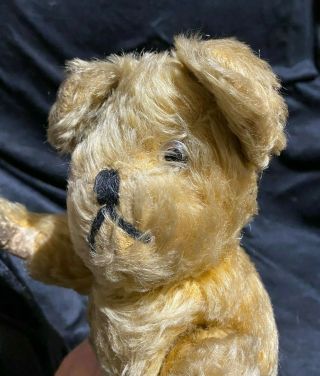 Vintage Teddy Bear - Well Loved Needs A Little Tlc