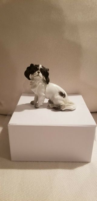 Augarten Royal Vienna Porcelain Figurine Of A Cavalier King Charles Spaniel Dog