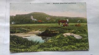Antique Postcard,  Brent Knoll,  Church,  Cows,  Burnham,  1909,  Somerset,  Posted