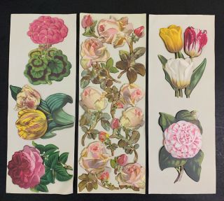 Anna Griffin 3d Die Cut Embellishments Stickers Garden Flowers Floral Rare Htf