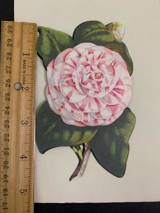 Anna Griffin 3d Die Cut Embellishments STICKERS Garden Flowers Floral Rare Htf 3