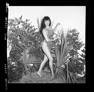 Rare Bettie Page 1954 Camera Negative Bunny Yeager Jungle Girl Pinup