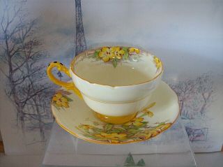 Rare Early " Royal " Paragon Hand Painted Flowers Unique Handle Cup And Saucer