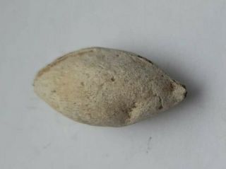 Rare Ancient Roman Lead Sling Bullet From Slingshot British Find 100 - 400 Ad 35g.