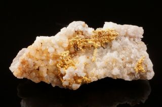 RARE LOCALE Native Gold on Quartz Crystal SKAMANIA,  WASHINGTON - Ex.  Lemanski 3