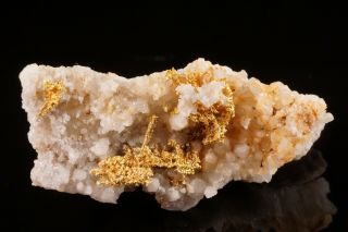 RARE LOCALE Native Gold on Quartz Crystal SKAMANIA,  WASHINGTON - Ex.  Lemanski 4