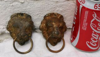 2 Reclaimed Brass Coated Metal Lion Head Face Drawer Pull Handles