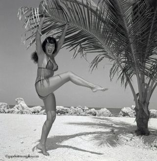 Bettie Page Campy Bikini Pose Camera Negative Photograph Bunny Yeager 1954 Rare