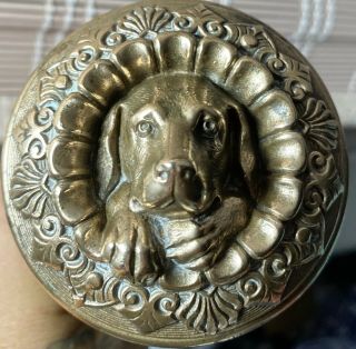 Very Rare Antique 1860s Russell & Erwin Bronze Figural Dog Doorknob