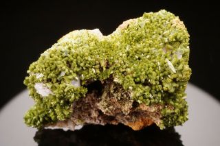 Rare Locale Pyromorphite Crystal Cluster Kamioka Mine,  Japan - Ex.  Lemanski
