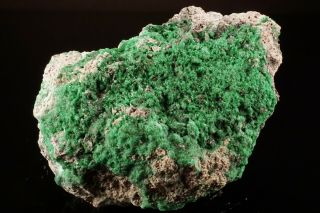 Rare Natrochalcite Crystal Cluster Chuquicamata,  Chile - Ex.  Lemanski