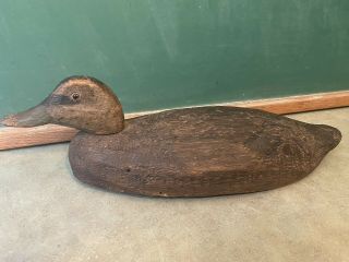 Antique Pegged Neck Wooden Duck Decoy 16.  5” Glass Eyes Old Vtg