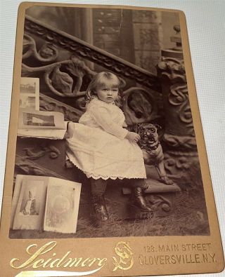 Rare Antique Victorian American Child Art Photographs & Dog Toy Ny Cabinet Photo