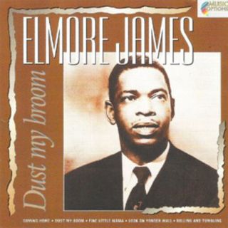 (cd) Elmore James - Dust My Broom [holland Import] Very Rare