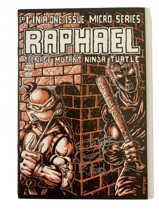 Raphael Teenage Mutant Ninja Turtles 1 1st Print Tmnt Rare 1st Casey Jones