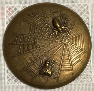 Large Antique Brass Picture Button Spider Fly Web Over 2 Inches