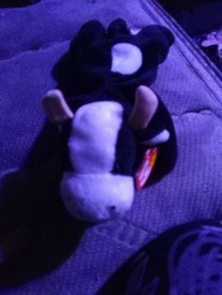 Rare 1993 - 1994 Daisy The Cow Beanie Baby - Swing Tag And Tush Tag Errors