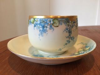 Hand Painted Antique W Austria Floral Luster Teacup And Saucer
