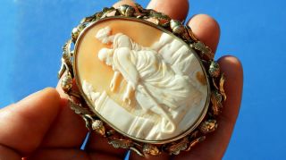 Stunning Antique Victorian Very Rare Large Natural Shell Cameo Acorn Gold Brooch