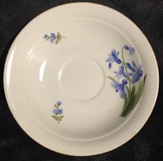 19th Century Antique Miessen Hand Painted Porcelain Floral Gilt Saucer