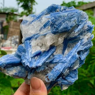 1.  77lb Rare Natural Blue Kyanite With Quartz Crystal Specimen Rough