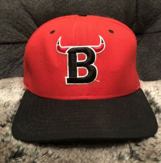 Rare Vintage 90s Chicago Bulls Horn B Logo Hat