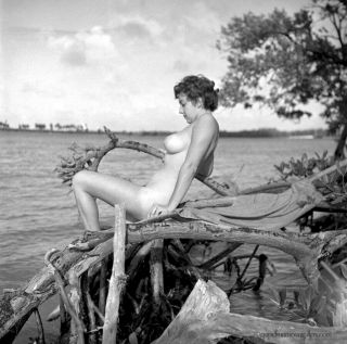 Bunny Yeager Estate 1950s Camera Negative Photograph Nude Pensive Model On Tree