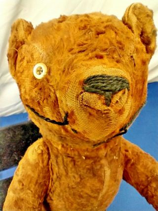 Vintage - Articulated Mohair Teddy Bear - Early 1900 ' s - 2