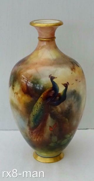 1905 Rare Royal Worcester Hand Painted Peacocks Vase By Henry Martin
