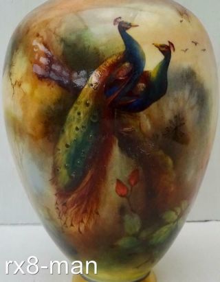 1905 RARE ROYAL WORCESTER HAND PAINTED PEACOCKS VASE BY HENRY MARTIN 2