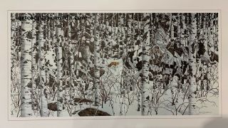 Bev Doolittle " Woodland Encounter " Wss Rare Art Print With Write Up Native