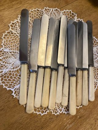 Vintage Antique 12 Rushworths Knives Set Bone Handle Butter Stainless Steel