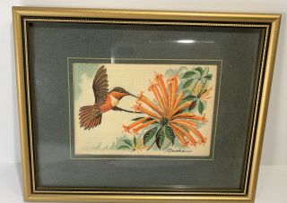 Vintage J & J Cash Ltd.  Rufous Humming Bird Framed Picture,  Cash Coventry England