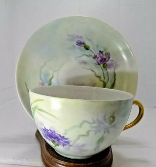 Antique H & Co.  Limoges France Cup And Saucer - Hand Painted With Carnations
