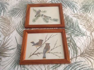 Vintage Sherm Pherson Framed Bird Prints Cedar Waxwing,  Chickadee