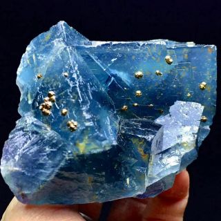 259g Very Rare Granular Pyrite Based On The Translucent Deep Blue Cubic Fluorite